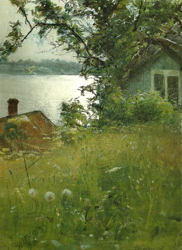 Anders Zorn junikvall